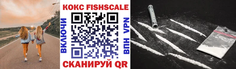 Cocaine Fish Scale  Купить закладки  Приозерск 