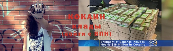 spice Ладушкин